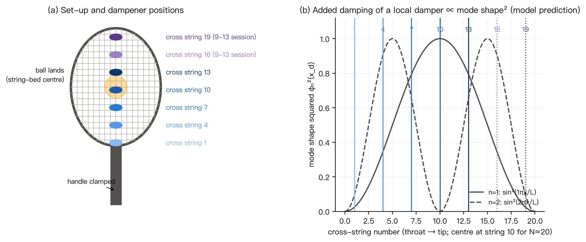 Figure 1 Setup schematic and mode-shape model